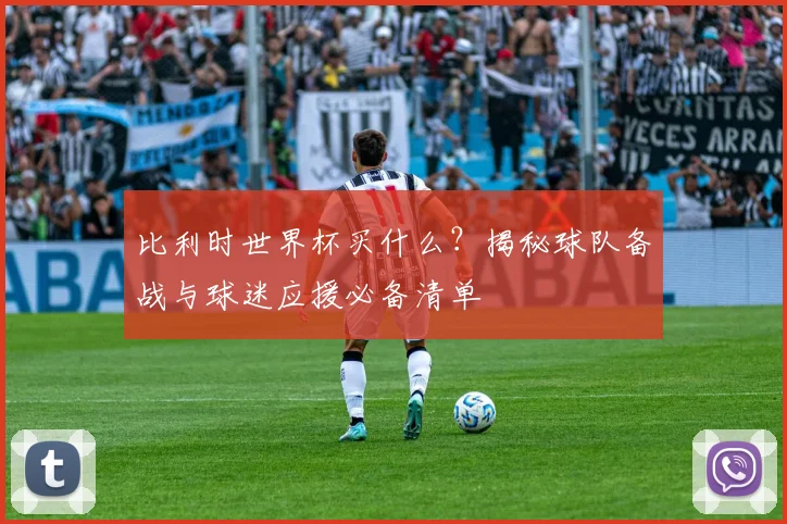 比利时世界杯买什么？揭秘球队备战与球迷应援必备清单